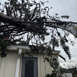 Sawyer Tree Management
