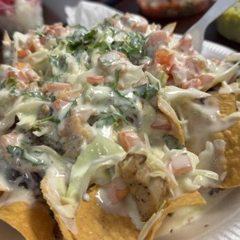 TacoSon - Mexican Near Me - Tampa, Florida TacoSon - Mexican Near Me - Tampa, Florida