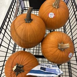 Albertsons - Five dollar Friday! Huge pumpkins...five dollars each.