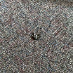 1617 Sherburne Ave Apartments - Dead rodent in hallway
