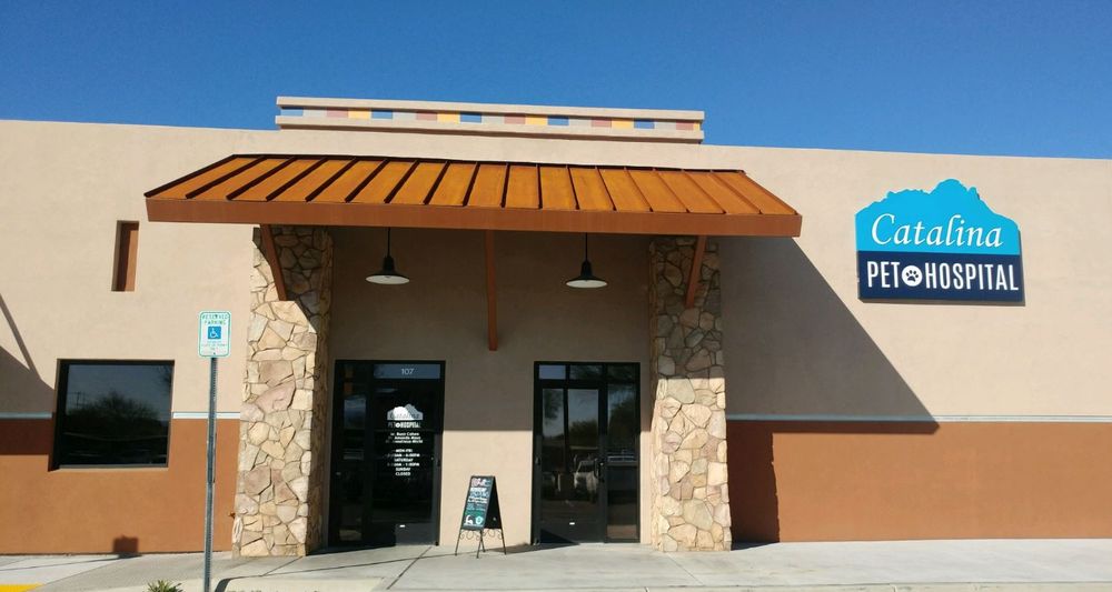 CATALINA PET HOSPITAL 14 Photos & 34 Reviews 3925 E Fort Lowell Rd