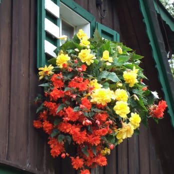 Pension Kirchleit'n - Vacation Rentals Near Me - Turnau, 6
