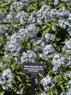 The Ewing and Muriel Kauffman Memorial Garden by null