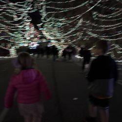 Celebration of Lights