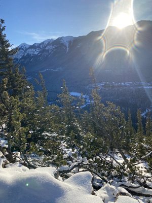 Tunnel Mountain Trail by null