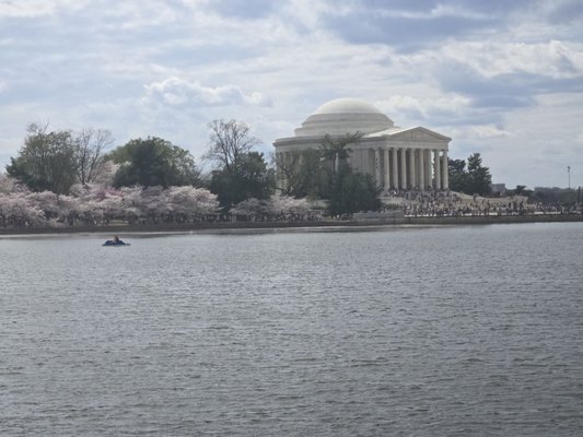 Thomas Jefferson Memorial by null