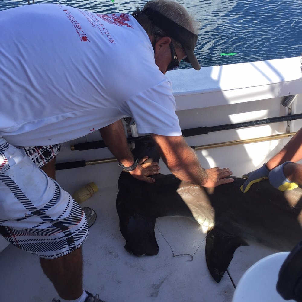 Happy Snapper - Fishing Near Me - Pompano Beach, Florida Happy Snapper - Fishing Near Me - Pompano Beach, Florida