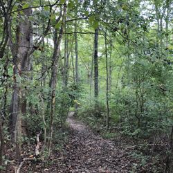 Gifford Pinchot State Park