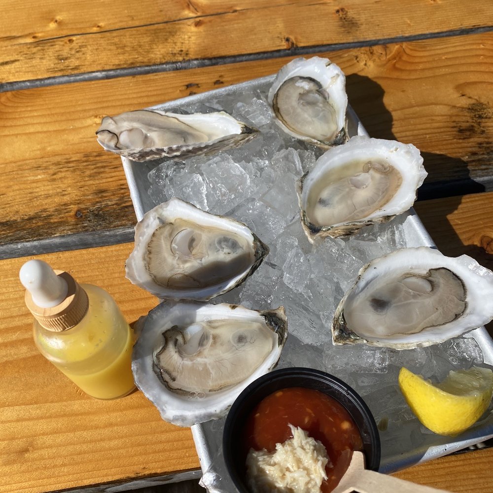 Oysters!