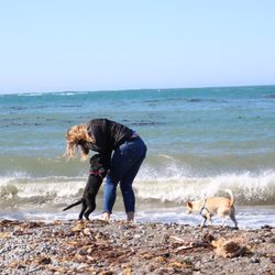 Noyo Bay Beach