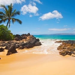 Maui Boutique Weddings - Maui is great!