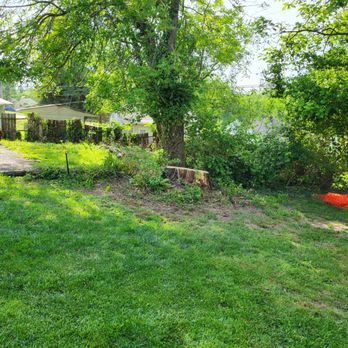 Southfork Tree Service - Removed oak tree
2023 - Tree Services Near Me - Kirkwood, Missouri Southfork Tree Service - Removed oak tree
2023 - Tree Services Near Me - Kirkwood, Missouri