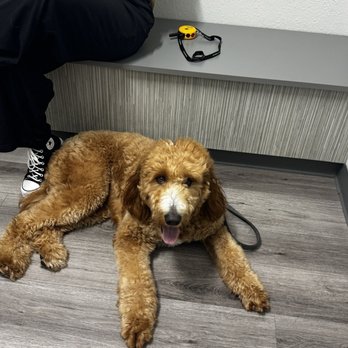 Jamacha Pet Vets - Veterinarians Near Me - Santee, California Jamacha Pet Vets - Veterinarians Near Me - Santee, California