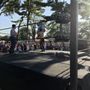 Photo of Mineola Memorial Park