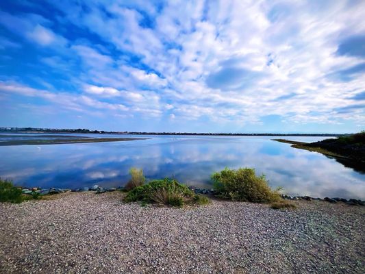 Bolsa Chica Ecological Reserve by null
