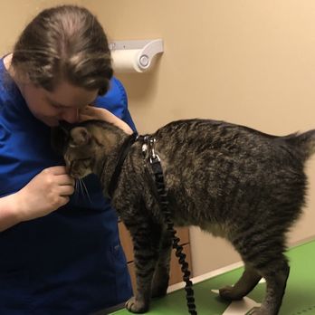 Savannah's Crossing Veterinary Hospital - What a nice human! - Veterinarians Near Me - Murfreesboro, Tennessee Savannah's Crossing Veterinary Hospital - What a nice human! - Veterinarians Near Me - Murfreesboro, Tennessee