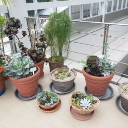 ふれあい植物センター 16 Photos Botanical Gardens 東2丁目25 37 渋谷区 東京都 Japan Phone Number Yelp