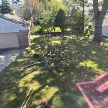 M. Ramirez Landscaping - Landscaping Near Me M. Ramirez Landscaping - Landscaping Near Me