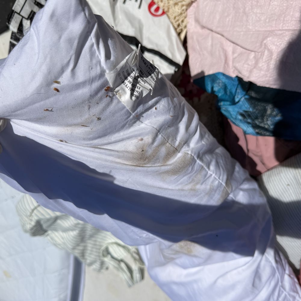 Mini U Storage - Pillows peed on and ripped. - Self Storage Near Me - Atascadero, California Mini U Storage - Pillows peed on and ripped. - Self Storage Near Me - Atascadero, California