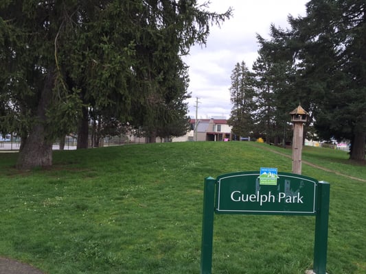 Guelph Park by null