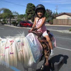 A Child's Place Daycare - A unicorn came to our school!