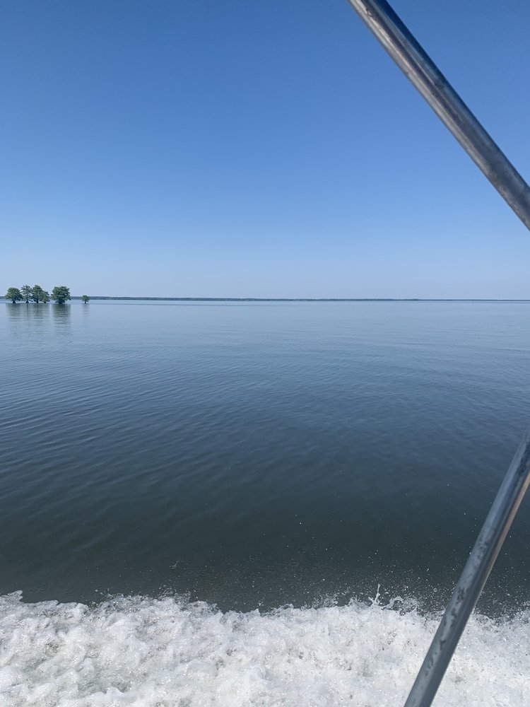 TAYLOR’S LANDING AND CAMPGROUND Updated October 2024 29 Photos