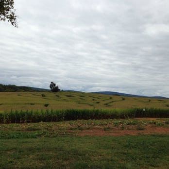 Liberty Mills Farm - Corn maze - Attraction Farms Near Me - Somerset, Virginia