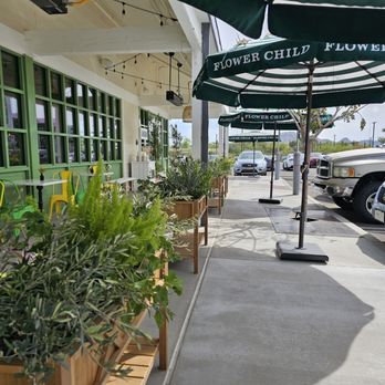 Flower Child - Salad Near Me - Phoenix, Arizona Flower Child - Salad Near Me - Phoenix, Arizona