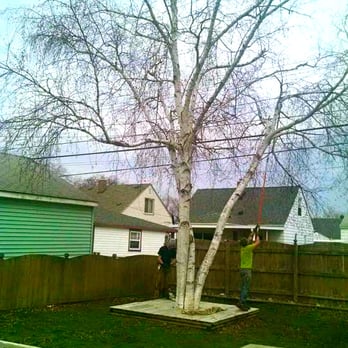 Top Tree Care - Tree Services Near Me - Waterford, Michigan Top Tree Care - Tree Services Near Me - Waterford, Michigan