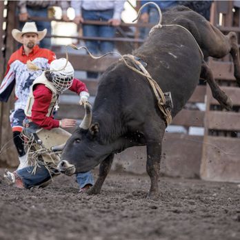Valley View Rodeo - Bull Riding - Rodeo Near Me