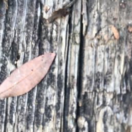 Outside Outside