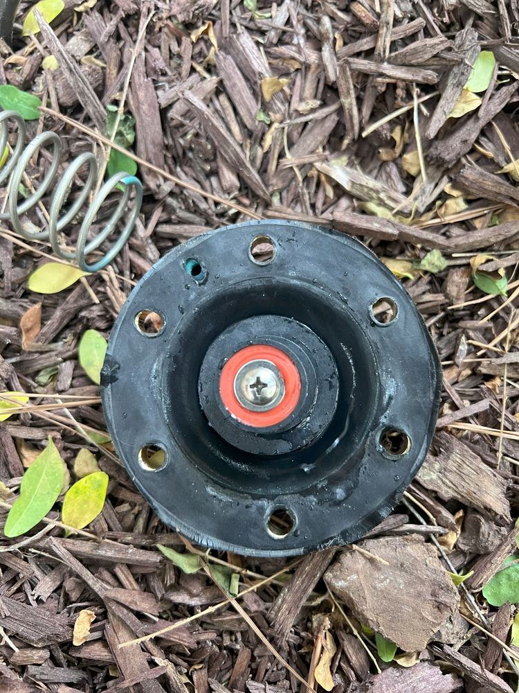 Slide of Big Dawg's Plumbing Services