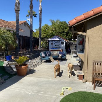 Patio Guy - Patio Coverings Near Me