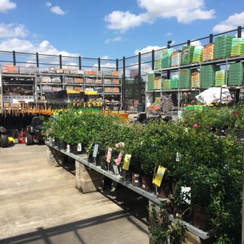 The Home Depot - Plants and wheel barrels - Nurseries & Gardening Near Me - Rosenberg, Texas The Home Depot - Plants and wheel barrels - Nurseries & Gardening Near Me - Rosenberg, Texas