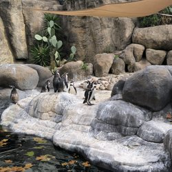 Zoo de Barcelona