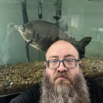 Saguaro Reef - Aquarium Services Near Me - Litchfield Park, Arizona Saguaro Reef - Aquarium Services Near Me - Litchfield Park, Arizona