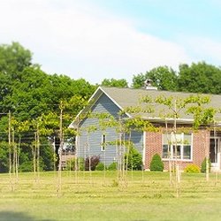 Hummingbird Vineyard & Winery