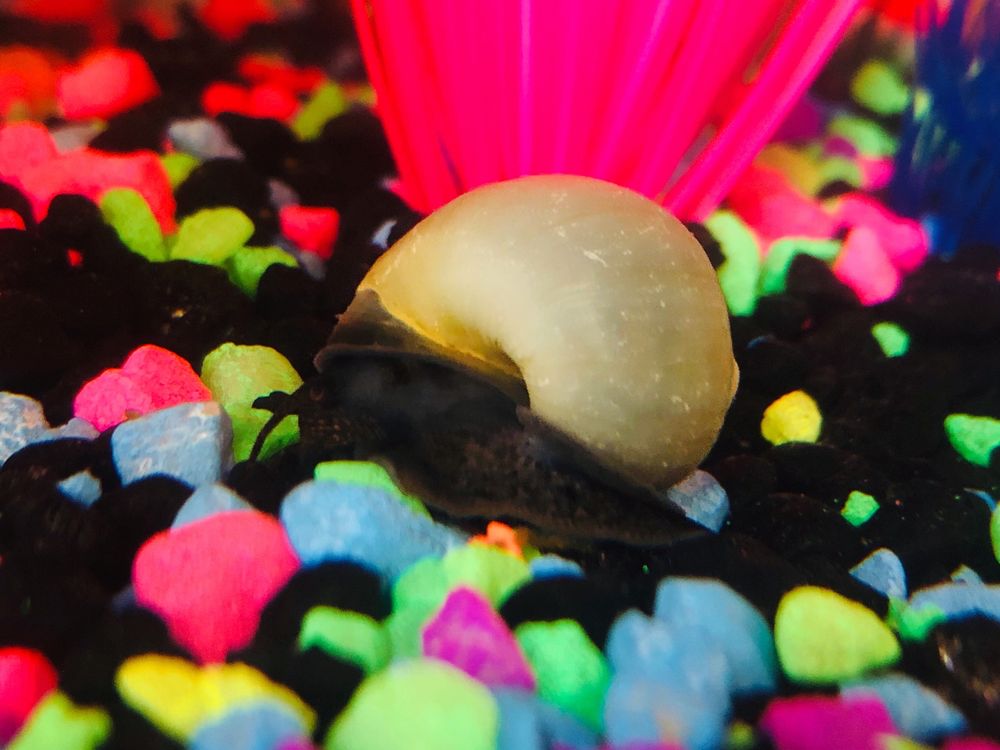 THE TROPICAL FISH SHOPPE Updated April 2024 2220 Main Ave E, West