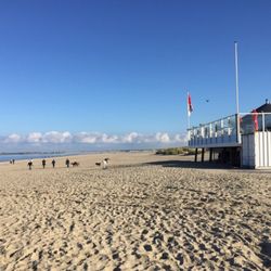 Strand bei Haamstede - Einfach klasse der Strandpavillion