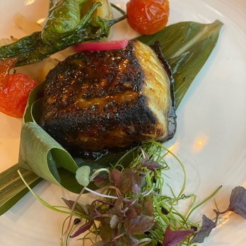 Umami - Black miso cod - Japanese Near Me - Sugar Land, Texas Umami - Black miso cod - Japanese Near Me - Sugar Land, Texas