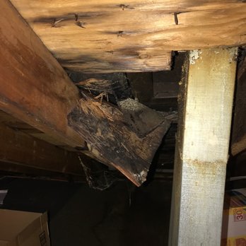 Eagle Eye Home Inspection - Damage to roof that Lance found.! - Home Inspectors Near Me Eagle Eye Home Inspection - Damage to roof that Lance found.! - Home Inspectors Near Me