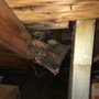 Photo of Eagle Eye Home Inspection