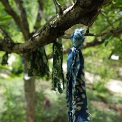 True Nature Healing Arts