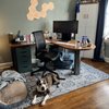 Santa Fe Office Interiors gift card