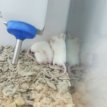 Petco - Pet Training Near Me - Orlando, Florida Petco - Pet Training Near Me - Orlando, Florida