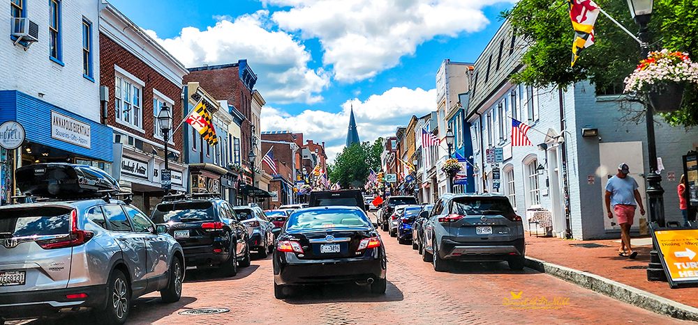 DOWNTOWN ANNAPOLIS TROLLEY - Updated June 2026 - Main St, Annapolis ...