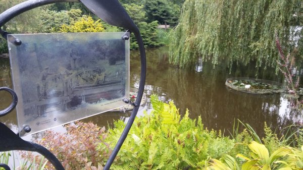 Botanical Garden of the University of Wrocław by null