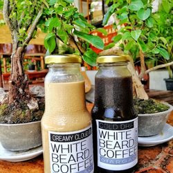 White Beard Coffee - Islands refreshing Grab and Go Iced White and Black Coffee's