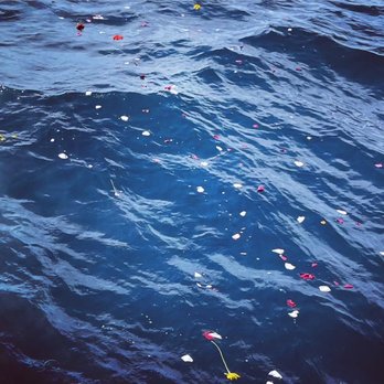 Sea Star Burials at Sea - Flowers, dad and the sea. - Funeral Services & Cemeteries Near Me - Oceanside Harbor, California