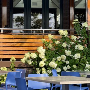 Prime - Relaxing outdoor dining - American Near Me - Huntington, New York Prime - Relaxing outdoor dining - American Near Me - Huntington, New York